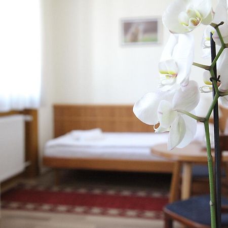 Hotel Corvinus Zalaszentgrót 외부 사진